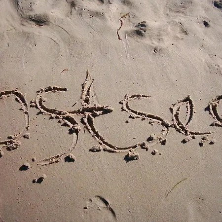 Pameebo 2 Comfortable * Breege